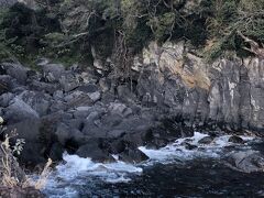 富戸の三島神社と龍宮神社　太田水産らんち