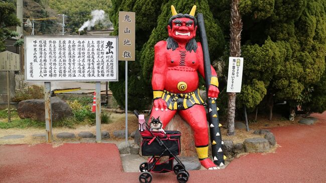 今年の年末年始はスペインに行く予定に1年以上前から決めていましたが、コロナの影響で夏頃には海外は無理と確信して別府の地獄めぐり、湯布院散策、阿蘇方面を中心とした温泉旅行に切り替えました。<br />Gotoキャンペーンが突如全国中止になった為キャンセルもありかなと少し迷いましたが感染対策を万全にして行ってきました。<br />愛犬真央ちゃんとの旅行は荷物が多く大変な事もありましたが、それ以上に癒しをくれるのでまた真央ちゃんと一緒に旅行に行きたいと思いました。<br /><br />1月1日 フェリーにて泉大津港から出港。<br /> 1月2日 別府湾サービスエリアにて小休憩&ドッグラン<br /> 地獄めぐりに行きます。その後、御宿小笠原に宿泊。<br /> 1月2日~3日 小笠原に2連泊。<br /> 1月4日 湯布院ガーデンホテルに宿泊<br /> 1月5日 楓の小舎に宿泊<br /> 1月6日 大阪へ帰ります。<br /> <br /><br />