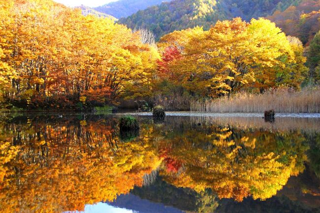 ◆錦秋の裏磐梯～大沢沼・曲沢沼は秋色の万華鏡