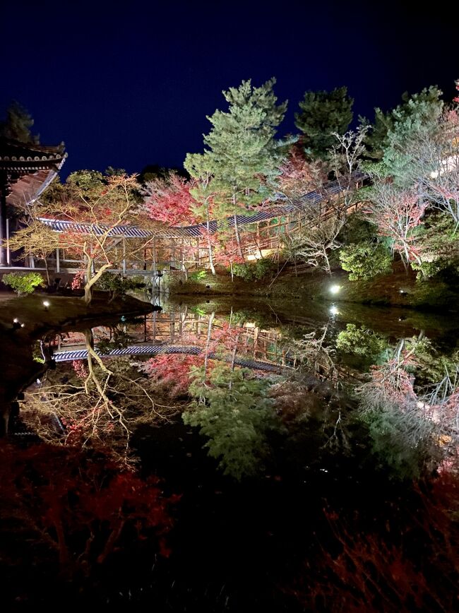 《2020.December》あみんちゅなにげに関西街歩きの旅京都そのⅢ～時期遅れの紅葉を見に行く高台寺編～