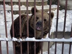 上川クマ牧場訪問