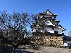 国宝の天守、彦根城