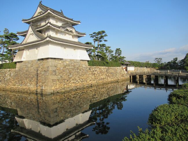 今日は2連泊した高松を後にして琴平に向かいます。<br />6:00に「手打十段 うどんバカ一代」で讃岐うどんを食べてから一旦ホテルに戻りました。<br />こんぴら参りは午後から半日あれば大丈夫そうなので、午前中は泊まった「JRクレメントイン高松」目の前の「玉藻公園」で高松城跡を散策し、お堀の「和船」に ”城舟” しました。<br /><br />「高松城」はまたの名を「玉藻城」と呼ばれています。<br />瀬戸内の海水をお堀に引き込んだ水城で、泳いでいるのは鯉や鮒ではなく鯛やヒラメなんです。<br />内堀で和船に乗って、鯛に餌を遣りながら船頭さんに詳しく説明して貰える楽しいひと時が経験できました。<br /><br />【 旅行4日目の全行程 11/27(金)】快晴<br /> 06:00 「手打十段 うどんバカ一代」<br />★07:40 玉藻公園と高松城跡散策 <br />★09:00 高松城和船乗船 <br /> 09:40 JRクレメントイン高松 C.O. <br /> 09:54 JR高松駅発<br /> 11:10 JR琴平駅着 <br /> 11:45 「こんぴらうどん参道店」 <br /> 13:10 金刀比羅宮御本宮 <br /> 13:50 厳魂神社(奥社) <br /> 15:00 「ことひら温泉 御宿 敷島館」泊<br /><br /> ★がこの旅行記での部分です