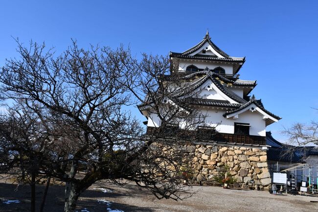 現存の国宝天守閣は、彦根城の他は姫路、松江、犬山、松本です。彦根城は琵琶湖に面する小高い山の上に築かれています。慶長年間に築城が始まって、完成までに二十年近くかかったそうです。玄宮園という庭も美事です。一日違いで雪化粧した姿を見逃してしまいました。<br /><br />