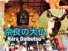 30年ぶりの奈良の大仏　鹿の聖地　奈良公園