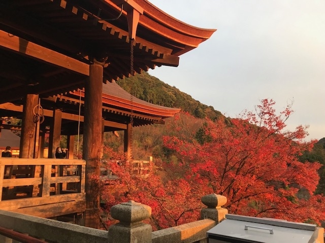 GoTo停止直前に京都をひとりで彷徨ってみた