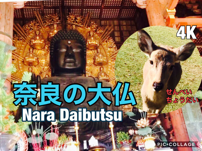 https://youtu.be/yYwJGn0jiqg 大仏殿~奈良公園の鹿<br /><br />YouTubeに4K撮影でUPしています<br /><br />11/21~24 コロナ禍<br /><br />大阪~奈良へ。奈良は高校の修学旅行以来。もう一度大仏が見たくて、東大寺 大仏殿へ。<br /><br />朝一8時開門の大仏殿。シカも朝日を浴びてお出迎えへ。大人になってじっくりと一人で散策。<br /><br />お腹のすかせた鹿に煎餅をあげたら、、大変な事に<br /><br />帰りは伊賀敢国神社、名古屋伊奴神社、羊神社、上野天満宮、富士浅間大社で御朱印集め