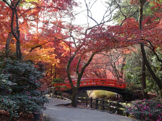 コロナのせいで予定していた旅行がかなり中止になり、マイルだけがどんどん溜まっていく…。<br /><br />私、医療従事者なんですが、テレビの過剰報道には嫌気がさしております。<br />私は自粛もせず、自分のしたいように生きていくと決めているので、今回は溜まりまくったマイルを少し消費しようと一人旅を計画！<br /><br />今回のメインは奈良のがん封じのお寺で父親のがんの再発がないようにお参り、娘の国家試験の合格祈願です。<br /><br />＊＊＊＊＊＊＊＊＊＊＊＊＊＊＊＊＊＊＊＊＊＊＊＊＊＊＊＊＊＊＊＊＊<br /><br />2日目。<br />朝起きても…体力がイマイチ回復していない…。<br />ちょっと年齢考えて歩かないとだめだなぁと反省…。<br /><br />ホテルで菓子パン食べて出発！