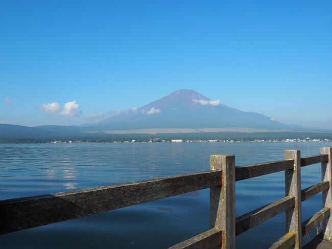 山中湖を日帰りでドライブしてきました。<br /><br />長池親水公園<br />↓<br />山中湖花の都公園<br />↓<br />パノラマ台<br />↓<br />御殿場アウトレット