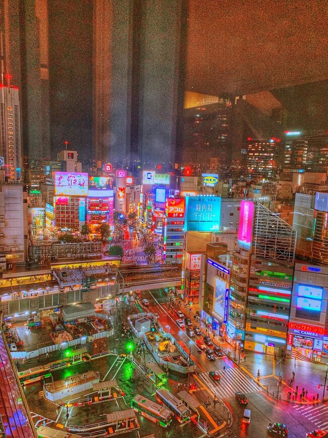 箱根から東京へ。<br />仕事しながら東京を楽しみます