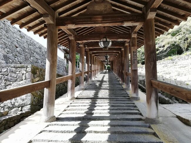 弾丸海外の旅とか、マニアックな国内の旅を好む私ですが、<br />たまには「ベタ」(関西芸人がいうところの定番中の定番の意)<br />な観光地を訪れることがあります。<br />今回は、奈良県の「飛鳥&長谷寺&室生字&三輪そうめん&柿の葉寿司&葛餅」をご紹介します。<br /><br />★「ベタ」な観光地シリーズ<br /><br />ニセコ(北海道)<br />http://4travel.jp/travelogue/10557930<br />美瑛&青い池(北海道)<br />https://4travel.jp/travelogue/10417987<br />幸福駅&ばんえい競馬(北海道)<br />http://4travel.jp/travelogue/10417731<br />高山稲荷神社&鶴の舞橋(青森)<br />https://4travel.jp/travelogue/11404300<br />下北半島(青森)<br />http://4travel.jp/traveler/satorumo/album/10437472/<br />岩木山&こみせ(青森)<br />http://4travel.jp/travelogue/10557256<br />田んぼアート(青森)<br />http://4travel.jp/travelogue/10993533<br />弘前&十二湖(青森)<br />http://4travel.jp/traveler/satorumo/album/10490992/<br />平泉&伊豆沼・内沼の白鳥&松島(岩手&宮城)<br />https://4travel.jp/travelogue/11499615<br />多賀城(宮城)<br />http://4travel.jp/traveler/satorumo/album/10688179/<br />仙台光のページェント(宮城)<br />http://4travel.jp/travelogue/11207650<br />宮城蔵王キツネ村(宮城)<br />https://4travel.jp/travelogue/11345894<br />妙乃湯温泉&十和田プリンスホテルに泊まる角館&田沢湖&乳頭温泉<br />&十和田湖(秋田)<br />https://4travel.jp/travelogue/11600220<br />秋田竿灯まつり(秋田)<br />http://4travel.jp/travelogue/10941648<br />上山温泉“古窯”&蔵王お釜(山形)<br />https://4travel.jp/travelogue/11618311<br />山寺(山形)<br />http://4travel.jp/traveler/satorumo/album/10785796<br />蔵王&天元台(山形)<br />http://4travel.jp/travelogue/10571930<br />蔵王樹氷(山形)<br />http://4travel.jp/traveler/satorumo/album/10450750/<br />天童の人間将棋(山形)<br />http://4travel.jp/traveler/satorumo/album/10768677<br />海鮮食べ放題バスツアー (山形)<br />http://4travel.jp/travelogue/11048424<br />月山&山形花笠まつり&仙台七夕(山形・宮城)<br />http://4travel.jp/traveler/satorumo/album/10557069/<br />“るーぷる仙台”で市内観光&牛タン&仙台大観音(宮城)<br />https://4travel.jp/travelogue/11642389<br />カシマサッカースタジアム&真壁(茨城)<br />http://4travel.jp/travelogue/10556710<br />日光東照宮(栃木)<br />http://4travel.jp/traveler/satorumo/album/10428289/<br />奥日光(栃木)<br />http://4travel.jp/traveler/satorumo/album/10420786/<br />浅間山・伊香保・赤城(群馬)<br />http://4travel.jp/traveler/satorumo/album/10422735/<br />休園中の東京ディズニーリゾート(千葉)<br />https://4travel.jp/travelogue/11637906<br />迎賓館&参議院(東京)<br />https://4travel.jp/travelogue/11351073<br />日本橋(東京)<br />http://4travel.jp/traveler/satorumo/album/10441213/<br />羽田空港国際線ターミナル(東京)<br />http://4travel.jp/traveler/satorumo/album/10539371/<br />皇居乾通り 一般公開 (東京)<br />http://4travel.jp/travelogue/11024669<br />汐留&築地市場&浅草サンバカーニバル&お台場(東京)<br />http://4travel.jp/travelogue/11176644<br />御徒町&根津・千駄木下町まつり(東京)<br />http://4travel.jp/travelogue/11193818<br />横浜中華街(神奈川)<br />http://4travel.jp/travelogue/11017433<br />JR鶴見線&沖縄・ブラジルタウン(神奈川)<br />http://4travel.jp/travelogue/11174874<br />甲府&勝沼(山梨)<br />http://4travel.jp/travelogue/10448050<br />新倉山浅間公園(山梨)<br />https://4travel.jp/travelogue/11402660<br />志賀高原(蓮池・横手山・渋峠)&地獄谷野猿公苑&渋温泉(長野)<br />https://4travel.jp/travelogue/11671297<br />上高地&乗鞍(長野)<br />https://4travel.jp/travelogue/11669121<br />御柱祭(長野)<br />http://4travel.jp/travelogue/11137940<br />白馬&志賀高原(長野)<br />http://4travel.jp/travelogue/10472912<br />妙高高原(苗名滝・燕温泉・いもり池)&長野電鉄ゆけむり&信州そば&馬刺し(新潟&長野)<br />https://4travel.jp/travelogue/11671894<br />五箇山(相倉)&金沢おでん&治部煮(富山&石川)<br />https://4travel.jp/travelogue/11669969<br />大井川の吊橋 “青部の吊橋&塩郷の吊橋&両国吊橋”(静岡)<br />http://4travel.jp/travelogue/11018704<br />熱海(静岡)<br />http://4travel.jp/traveler/satorumo/album/10448691/<br />平湯温泉&高山&古川&白川郷&朴葉味噌&飛騨牛寿司(岐阜)<br />https://4travel.jp/travelogue/11669908<br />樽見鉄道、養老鉄道で谷汲山華厳寺(岐阜)<br />https://4travel.jp/travelogue/11518114<br />近鉄特急“しまかぜ“で行く伊勢志摩(三重)<br />https://4travel.jp/travelogue/11641207<br />鶏焼肉&鬼ヶ城&熊野那智大社&那智滝&紀伊勝浦(三重&和歌山)<br />https://4travel.jp/travelogue/11661658<br />琵琶湖遊覧船“ミシガン“&坂本&三井寺&石山寺&しじみ料理(滋賀)<br />https://4travel.jp/travelogue/11658185<br />琵琶湖テラス&近江舞子&焼鯖そうめん&彦根城(滋賀)<br />https://4travel.jp/travelogue/11658781<br />比叡山延暦寺(滋賀)<br />http://4travel.jp/traveler/satorumo/album/10520650/<br />五山送り火&石清水八幡宮(京都)<br />https://4travel.jp/travelogue/11591927<br />北野天満宮(京都)<br />http://4travel.jp/travelogue/10647630<br />祇園(京都)<br />http://4travel.jp/traveler/satorumo/album/10425367/<br />南禅寺&永観堂(京都)<br />https://4travel.jp/travelogue/11347150<br />百舌鳥・古市古墳群 -古代日本の墳墓群-(大阪)<br />https://4travel.jp/travelogue/11617730<br />休園中のユニバーサル・スタジオ・ジャパン(大阪)<br />https://4travel.jp/travelogue/11635175<br />太陽の塔(大阪)<br />https://4travel.jp/travelogue/11401104<br />駅裏登山道からの竹田城跡&舞鶴赤れんがパーク&舞鶴肉じゃが(兵庫&京都)<br />https://4travel.jp/travelogue/11661320<br />姫路城&明石(兵庫)<br />https://4travel.jp/travelogue/11613889<br />西村屋ホテル招月庭に泊まる城崎温泉(兵庫)<br />https://4travel.jp/travelogue/11476360<br />余部鉄橋&城崎温泉(兵庫)<br />http://4travel.jp/travelogue/10996105<br />余部鉄橋(兵庫)<br />http://4travel.jp/traveler/satorumo/album/10449422/<br />城崎温泉&餘部鉄橋&鳥取砂丘&牛骨ラーメン&とうふちくわ&白バラコーヒー(兵庫&鳥取)<br />https://4travel.jp/travelogue/11659859<br />飛鳥&長谷寺&室生字&三輪そうめん&柿の葉寿司&葛餅(奈良)<br />https://4travel.jp/travelogue/11672622<br />近鉄特急「ひのとり」で奈良公園(奈良)<br />https://4travel.jp/travelogue/11640199<br />室生寺&今井町&飛鳥(奈良)<br />https://4travel.jp/travelogue/11533691<br />東大寺&奈良公園(奈良)<br />http://4travel.jp/traveler/satorumo/album/10531427/<br />高野山&南海電鉄「こうや」&「天空」&極楽橋駅&ごま豆腐(和歌山)<br />https://4travel.jp/travelogue/11668540<br />ホテル浦島&潮岬&めはりずし&茶飯&金山寺味噌(和歌山)<br />https://4travel.jp/travelogue/11662693<br />ハワイ海岸&倉吉土塀の街&恋山形駅&宮本武蔵の里&平福(鳥取&岡山&兵庫)<br />https://4travel.jp/travelogue/11660447<br />尾道&大久野島&尾道ラーメン(広島)<br />https://4travel.jp/travelogue/11663945<br />原爆ドーム(広島)<br />http://4travel.jp/traveler/satorumo/album/10450820/<br />元乃隅稲荷神社&角島大橋(山口)<br />https://4travel.jp/travelogue/11301055<br />阿波踊り(徳島)<br />http://4travel.jp/travelogue/10588585<br />https://4travel.jp/travelogue/11423710<br />寛永通宝の琴弾公園(香川)<br />http://4travel.jp/traveler/satorumo/album/10450806/<br />伊予大洲&内子&松山&鯛そうめん(愛媛)<br />https://4travel.jp/travelogue/11666583<br />瀬戸内しまなみ海道サイクリング&内子&米博物館(愛媛)<br />http://4travel.jp/travelogue/10559650<br />高知&鰹タタキ&ウツボ料理&鯨料理&ドロメ(高知)<br />https://4travel.jp/travelogue/11666867<br />四万十川(高知)<br />https://4travel.jp/travelogue/11645952<br />門司港(福岡)<br />http://4travel.jp/traveler/satorumo/album/10422286/<br />三井三池炭鉱 宮原坑&専用鉄道敷跡 (福岡)<br />http://4travel.jp/travelogue/11131058<br />島原半島・神代小路&淡島神社&島原&原城(長崎)<br />https://4travel.jp/travelogue/11645032<br />東山手&グラバー園&大浦天主堂&平和公園(長崎)<br />https://4travel.jp/travelogue/11644090<br />佐世保&出島(長崎)<br />https://4travel.jp/travelogue/11643912<br />軍艦島 (長崎)<br />http://4travel.jp/travelogue/11067774<br />慶良間諸島“阿嘉島”&消失したばかりの首里城(沖縄)<br />https://4travel.jp/travelogue/11620294<br />沖縄本島(沖縄)<br />http://4travel.jp/traveler/satorumo/album/10475825/<br />慶良間諸島 “座間味島”(沖縄)<br />http://4travel.jp/travelogue/11012275<br />石垣島(沖縄)<br />https://4travel.jp/travelogue/11531414<br />竹富島&小浜島(沖縄)<br />https://4travel.jp/travelogue/11531939