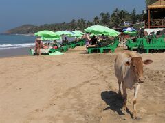 2008年～2009年 ドバイ経由でインド縦断の旅へ-C（ゴア・ハンピ編）