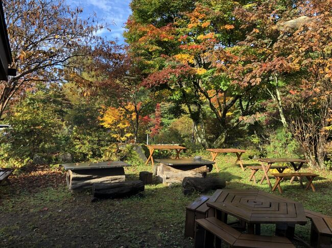 10月。待ちに待った東京都民のGo To解禁に合わせて、長野県小諸に行ってきました。<br /><br />目をつけたのは、軽井沢のエコツアー「ピッキオ」主催の浅間山カモシカトレッキング。なんでもカモシカがほぼ確実に見られるという噂です。<br />エコツアーの申し込みと集合場所になっている天狗温泉浅間山荘の前泊を予約して準備万端！<br />と思いきや、旅行1週間前になってピッキオさんから「浅間山の警戒レベルが上がっている。火山活動のせいか例年のようにカモシカが見れなくなっている」との連絡をもらい、トレッキングはキャンセルしました（涙）<br /><br />宿のキャンセルも考えましたが、せっかくなのでそのまま出発することに。<br />カモシカの代わりに、子供の乗馬体験やリンゴ狩りを楽しんできました。