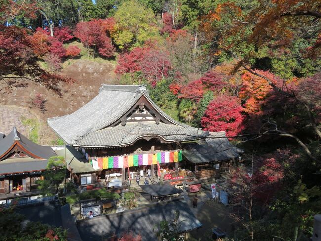 2020年12月6日(日)ルートは鬼の雪隠→鬼の俎→亀石→橘寺→酒船石→亀形石造物→飛鳥寺→ランチ『めんどや』→岡寺へ行ってみました。レンタサイルクルで飛鳥駅からですと、3.3km(18分)めんどやさんからだと644m(6分)<br />『岡寺』は地名に因る名で正式名は<br />山号は東光山(とうこうさん)<br />院号は真珠院(しんじゅいん)<br />法名は龍蓋寺(りゅうがいじ)『東光山 真珠院 龍蓋寺』となるようです。<br />土地の名から『岡にある寺』=『岡寺』現在も正式名の『龍蓋寺』よりも『岡寺』と呼ばれているようです。<br /><br /><br />