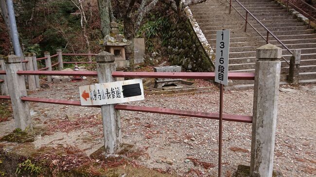 鳳来寺山の階段１３１６段を登り切り、初詣、してきました。結婚する前のデートで、一度来たことがありますが、その時は、駐車場に止めて、薬師寺方面から上ったので、辛くなかった思い出がありましたが、（もっとも、若かったからね。）今回は、上ったぞー感があり、充実しました(笑)<br />ご利益ありそうです(笑)