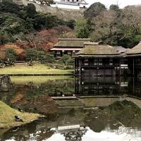 Go To Travelで秋の京都・滋賀へ（第３日）