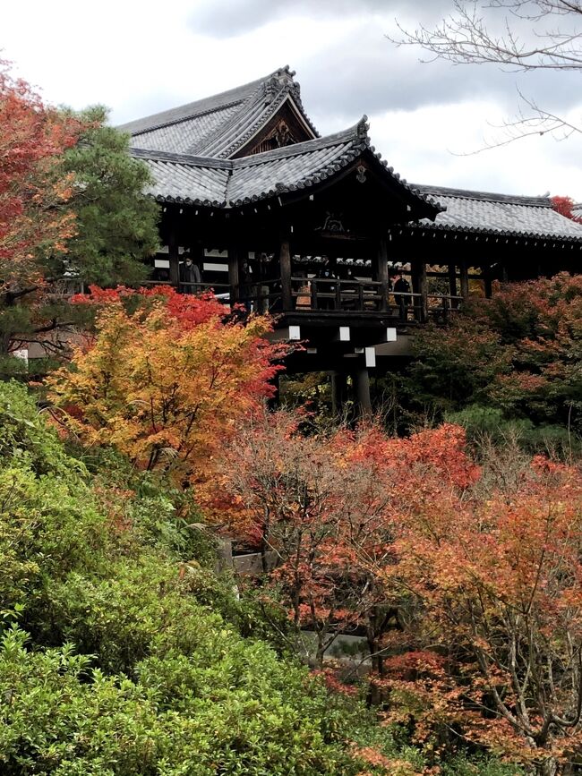 第1日:羽田空港 13:00 -(ANA25)- 14:05 伊丹空港 -(大阪モノレール)- 門真市 -(京阪)- 三条 (クロスホテル<br />京都・泊)<br />第2日:京都市内(本能寺・東福寺・光明院・南禅寺・将軍塚青龍殿・毘沙門堂)(ホテルエルシエント京都・泊)<br />第3日:京都(清水寺)- 京都河原町 -(阪急)- 東向日 - 善峯寺 - JR向日町 - 京都 - 彦根 (ABホテル彦根・泊)<br />第4日:彦根 - 長浜(黒壁スクエア、長浜城、長浜鉄道スクエア)- 米原 12:57 -(ひかり650号)- 15:05 品川<br /><br />Go To Travelキャンペーンを利用して、秋の京都・滋賀4日間の旅。<br />