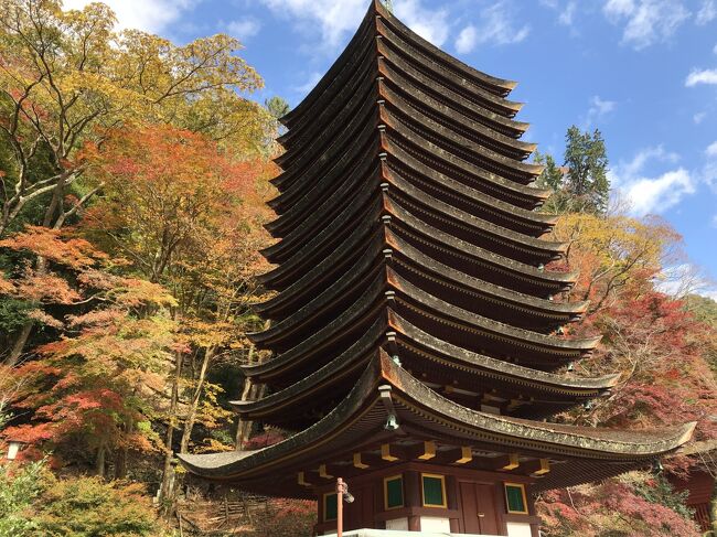 紅葉の時期に、修学旅行以来となる奈良へ行くことにしました。<br />飛行機代が安かったので、関西空港からアクセスすることにし、2020年7月にオープンしたマリオット奈良に特典宿泊しました。<br /><br />■日程<br />・11月22日 成田⇒関西⇒奈良<br />・11月23日 奈良⇒関西⇒羽田<br /><br />■フライト<br />・成田07:55⇒関空09:35(MM312)<br />・関空15:20⇒羽田16:35(NH992)<br /><br />■費用<br />・成田⇒関西 5,610円(シンプルピーチ)<br />・関西⇒羽田 8,730円(スーパーバリュー75L)<br />・JWマリオットホテル奈良(デラックスキング/Bonvoy特典)<br />・トヨタレンタカー 8,210円(C2・20%off/基本6,160/乗捨3,300/オプション1,650/クーポン▲2,000/ポイント▲900)<br />・奈良-関西空港線(バス) 2,100円