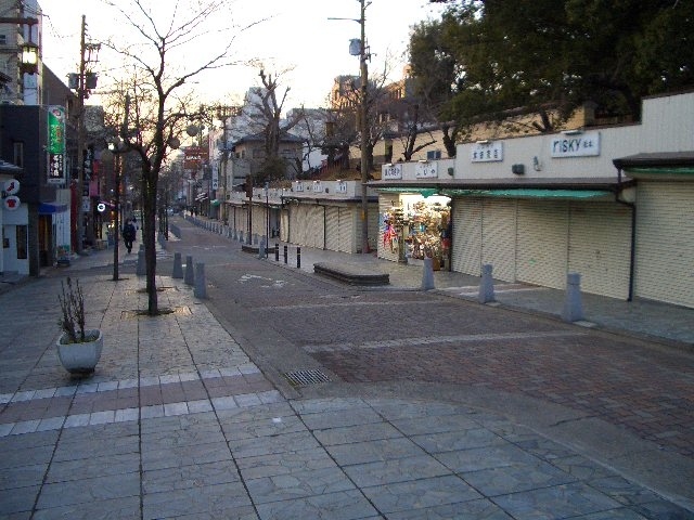 考えてみると、現役を引退してから、新しい年をどのように過ごすのか、一年単位で考えたことがなかった。<br /><br />怠慢である!!<br /><br />頭の整理をし、日々を暮らすのと、そうでないのとでは、大きな違いがある。一年に一度は立ち止まって何を目標にして暮らすのかを考えるべきなのです。<br /><br />前回宿泊がべら棒に安くなるからとの理由で宝山寺の城山旅館に泊まりましたが、今回は1年の計画を考えてみようと、GoTo キャンペーンを利用し、同じ「城山旅館」を選びました。宿泊は1月13日を予定しましたが、キャンペーンの停止延長になり、通常値段でないと、宿泊ができなくなりました。<br /><br />困りました...。<br /><br />年が明けたのだけど、この一年をどのように過ごすのか、まだ気持ちの整理ができていないのです。<br /><br />日帰りで初詣をしようか、意地になり近場で1泊し初詣をしようか、悩みましたが、意地になりました。<br /><br />GoTo キャンペーンが使えないのなら、「いまなら キャンペーン」を使っちゃおう。<br /><br />選んだホテルは、昨年オープンした「ダイワロイヤルホテル D-PREMIUM 奈良」。「いまなら キャンペーン」を利用し、5000円の割引があります。<br /><br />カード決済限定で、スタンダードダブルの部屋が、1泊朝食付きで5,480円(サービス料、税込み)。大浴場もあり、朝食も写真で見る限りでは、申し分のないものでした。<br /><br />ここを起点に、春日大社にお参りし、久し振りに奈良公園をそぞろ歩き、一年を考えてみました。