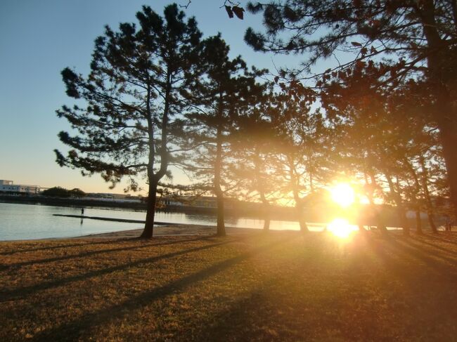 2021年の初日の出を野島公園の展望台と海岸で拝み、平穏な日常が早く戻るとともに、新しい様式へ適応、変化したより良い生活スタイルが早く定着することを祈願した。<br />降雨の少ない冬季は海水が澄んでいるし、雑草も伸びないので散策に適している。またBBQ場とキャンプ場も2月末まで営業してないので静かで良い。今シーズンは渡り鳥の渡来が少ないようだか環境や気候の変動のためなのか?<br />何はともあれ晴天の朝陽は清々しくて気分も晴れ晴れする。貴重な野島の高低差がある地形を利用して日の出を何度も観察して楽しめ、散策の甲斐がある。2021年も良い年にしたく。