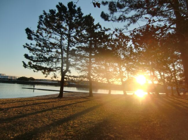 2021年の初日の出を野島公園の展望台と海岸で拝み、平穏な日常が早く戻るとともに、新しい様式へ適応、変化したより良い生活スタイルが早く定着することを祈願した。<br />降雨の少ない冬季は海水が澄んでいるし、雑草も伸びないので散策に適している。またBBQ場とキャンプ場も２月末まで営業してないので静かで良い。今シーズンは渡り鳥の渡来が少ないようだか環境や気候の変動のためなのか？<br />何はともあれ晴天の朝陽は清々しくて気分も晴れ晴れする。貴重な野島の高低差がある地形を利用して日の出を何度も観察して楽しめ、散策の甲斐がある。2021年も良い年にしたく。