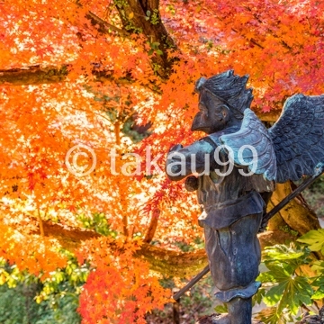 鎌倉の紅葉の名所を四日間かけて回りつくしてきました。本当に行って良かった紅葉の絶景をご案内します。