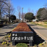 ☆ バイクで府中まで行ってみた☆　都立武蔵国分寺公園　ホテルリブマックス バジェット北府中　No. 1