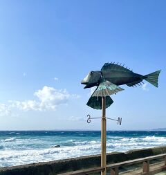 京都旅行をｷｬﾝｾﾙしたけど何しようか・・えっ？東京湾一周？？船乗るの？また突飛な！！ﾏｲｸﾛﾂｰﾘｽﾞﾑ後編　　