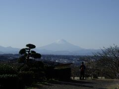 2011年冬　ふじやま公園、瀬上市民の森を歩く