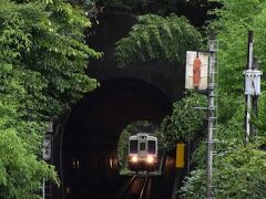 震災復興中の田老の町歩きと三王岩見学2020～津波が来たらてんでんこ～（岩手）