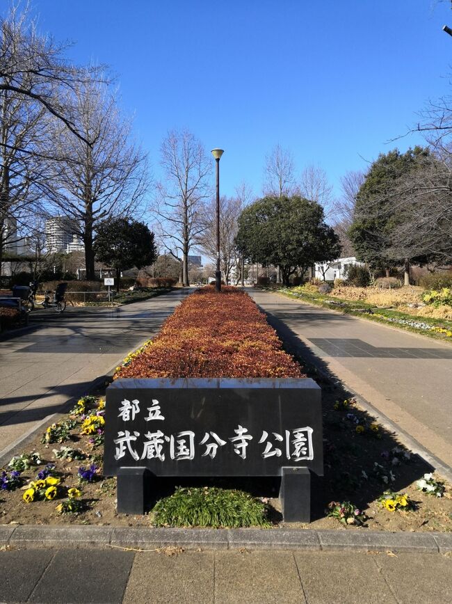 ☆ バイクで府中まで行ってみた☆　都立武蔵国分寺公園　ホテルリブマックス バジェット北府中　No. 1