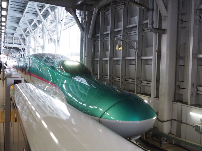 大阪まで飛行機で帰るはずが、大雪で全便欠航、青森に足止め。<br />まさか、その翌日まで欠航になってしまうとは…。<br />冬の東北には、こういう落とし穴があったか!<br /><br />全く考えていなかった新幹線移動。<br />ダイナミックパッケージで、JALが返してくれるお金はわずか、プラスでお金がかかりますが、会社員なのでそうそう休むわけにもいかず、仕方がありません。<br />GO TOで安く行けた分、まあ、良しとしましょう。<br />青森から東京を はやぶさで、東京から新大阪を のぞみで移動、ひたすら、ひたすらの新幹線旅です。