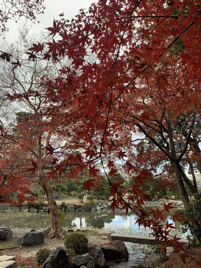 ちょうど京都に用があってひとりででかけたのでGoTo使って泊まれるお手頃なホテルないかな~なんて検索をはじめたら手ごろでいい雰囲気のホテルがたくさんある!大阪より京都のほうがいい感じのところが多くて、観光客もすくない紅葉の終わったころだしすいてるだろうと予約し行ってきました。