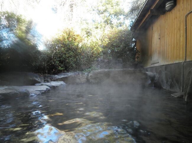 植木温泉の老舗旅館「旅館いろは」へ