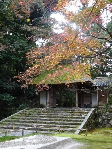 2020年11月末に行ったGoToトラベル京都旅行です。<br /><br /><2日目><br />この日は歩いて秋をしみじみ感じるつもりでした。しかし大量の紅葉に目がくらんでただの紅葉狩りになってしまった。<br /><br />京都凄い、紅葉が似合いすぎる。<br /><br />そして「行けるとこまで行く」つもりで計画にいろいろ詰め込んだところ、前日からの疲れがきて途中で力尽きました。でも楽しかったです。<br /><br />日程<br />・銀閣寺~法然院~真如堂を歩く<br />・吉田山のあたりで昼ご飯<br />・重森三玲庭園美術館<br /> ※これ以外にも寄り道しています