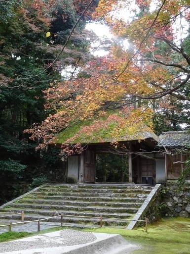 2020年11月末に行ったGoToトラベル京都旅行です。<br /><br />＜２日目＞<br />この日は歩いて秋をしみじみ感じるつもりでした。しかし大量の紅葉に目がくらんでただの紅葉狩りになってしまった。<br /><br />京都凄い、紅葉が似合いすぎる。<br /><br />そして「行けるとこまで行く」つもりで計画にいろいろ詰め込んだところ、前日からの疲れがきて途中で力尽きました。でも楽しかったです。<br /><br />日程<br />・銀閣寺～法然院～真如堂を歩く<br />・吉田山のあたりで昼ご飯<br />・重森三玲庭園美術館<br />　※これ以外にも寄り道しています