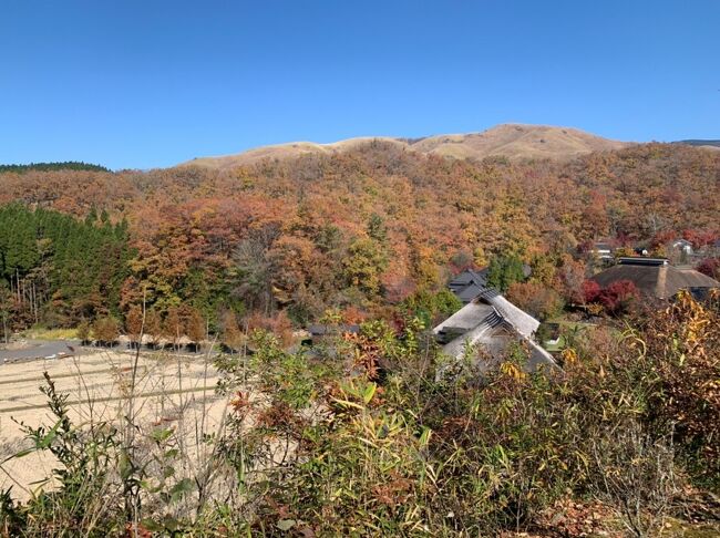 急遽1ヶ月前に予約して決まった黒川温泉巡り!<br /><br />バタバタと弾丸でしたが、結果4つも温泉に入れて大満足の旅となりました♪