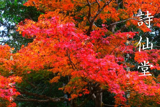 2020秋　関西・京都 紅葉めぐりの旅〈第６幕〉【２日目：詩仙堂編】