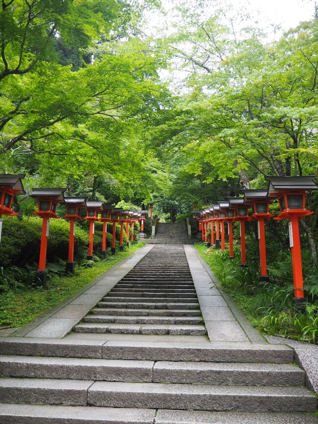 京都夏たび　二日目<br />楽しみにしていた流しそうめん！　その前に鞍馬寺から貴船神社まで山越え（笑）で向かいました。<br />曇り空でしたが暑くなかったので、楽しく歩くことができました。