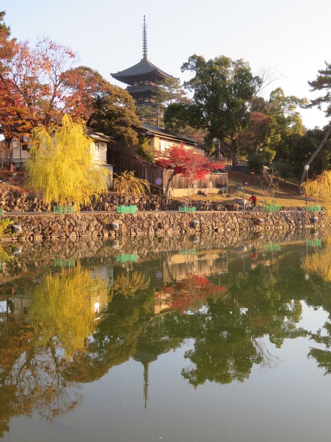 2020年12月7日（月）あっという間の３日目。奈良の見たいところを制覇するのであれば、４泊以上しないと難しいです。絶対、再訪しなきゃ♪<br />表紙のフォトは猿沢池から見える興福寺の塔です。<br /><br />平日の朝なので、ＪＲ奈良駅付近は人がほとんど居なく、観光に最適♪<br />