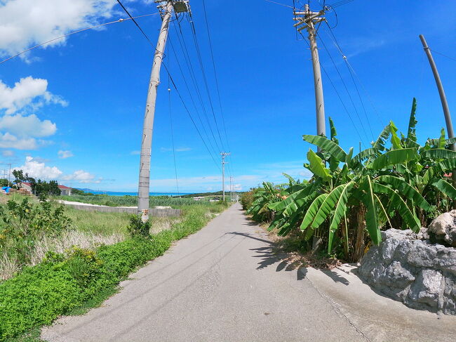 沖縄離島の旅 1・2日目（小浜島）