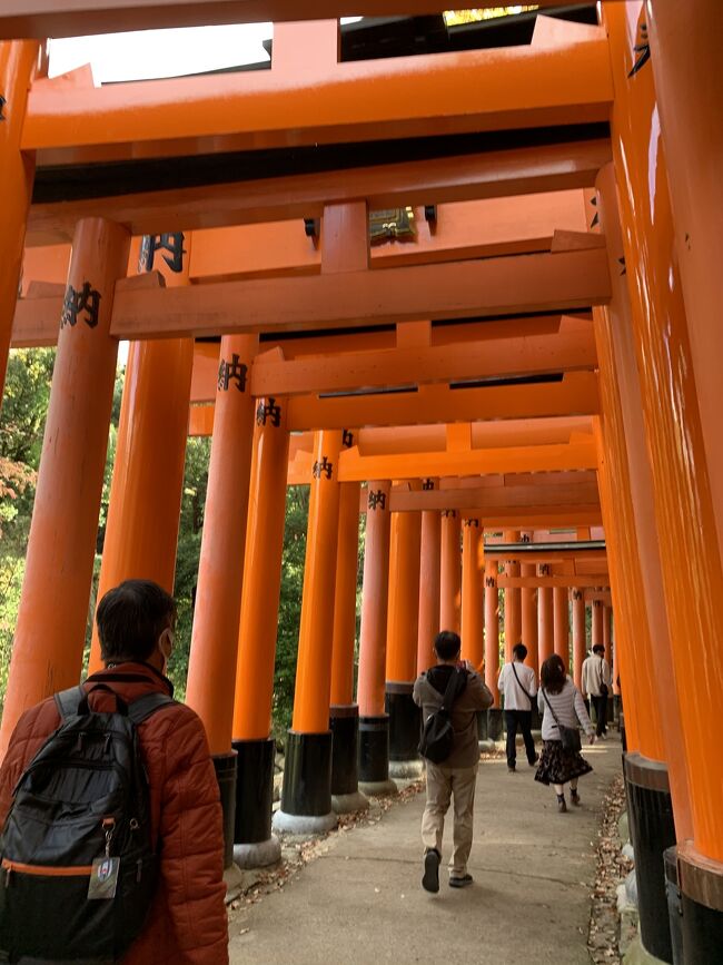 紅葉の季節がやってきました。急に「そうだ、京都の紅葉を観てみよう」と思いつきました。今回は紅葉が有名な場所に重点を置いて訪れる場所を決めました。