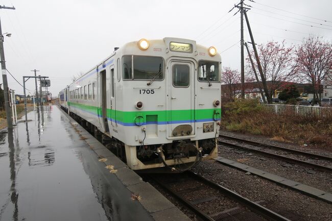 2020年11月21日から24日まで、初めての北海道と太平洋フェリー乗船を目的に宮城と道南に3泊4日で行ってきました。1日目は宮城県内をまわりフェリーで苫小牧へ、2日目は鵡川ししゃもを食べ、3日目は室蘭に寄りつつ函館へ移動し、4日目は函館を楽しんで帰る、という流れとなります。本旅行記では、2日目の様子をお届けします。