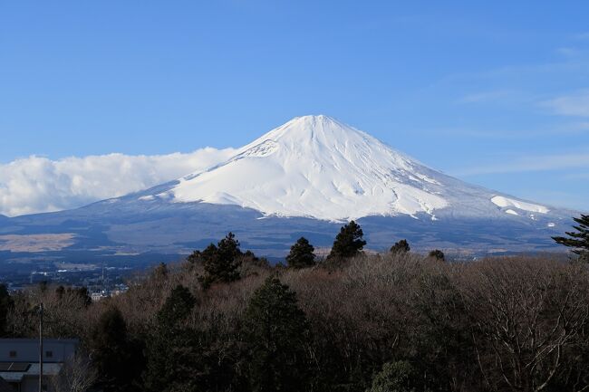 前日雪が関東にも降ったので、雪化粧した富士山を見に御殿場へ。<br />綺麗に雪化粧した富士山を見るのは今年初めてでした。<br />晴れてたので御殿場の国道401号線ぞいにある富士松展望レストラン<br />の駐車場から見る富士山の眺めがいいので向かってみましたが、<br />コロナのせいか閉店しており駐車場にも入れませんでした。<br />帰りに眺めの良い駐車場がありましたので寄ってみました。<br />そこは桜境というレストランでしたが写真だけ撮って帰っきました。