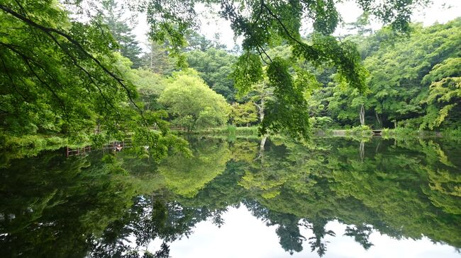 草津白根山の天国のような芳の平湿原をハイクしたあとは、チャミツボ公園へ<br />その後軽井沢へ向かい、白糸の滝、雲場池などを巡りました。