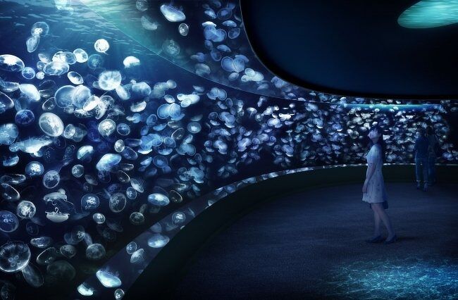 サンシャイン水族館は、東京都豊島区東池袋・サンシャインシティ内のワールドインポートマートにある水族館。1978年10月開館。株式会社サンシャインエンタプライズが運営している。旧称はサンシャイン国際水族館。<br />様々な年代の方が楽しめるイベントや、生き物たちを間近で観ることが出来るパフォーマンスが毎日開催されております。<br /><br />https://sunshinecity.jp/aquarium/ 