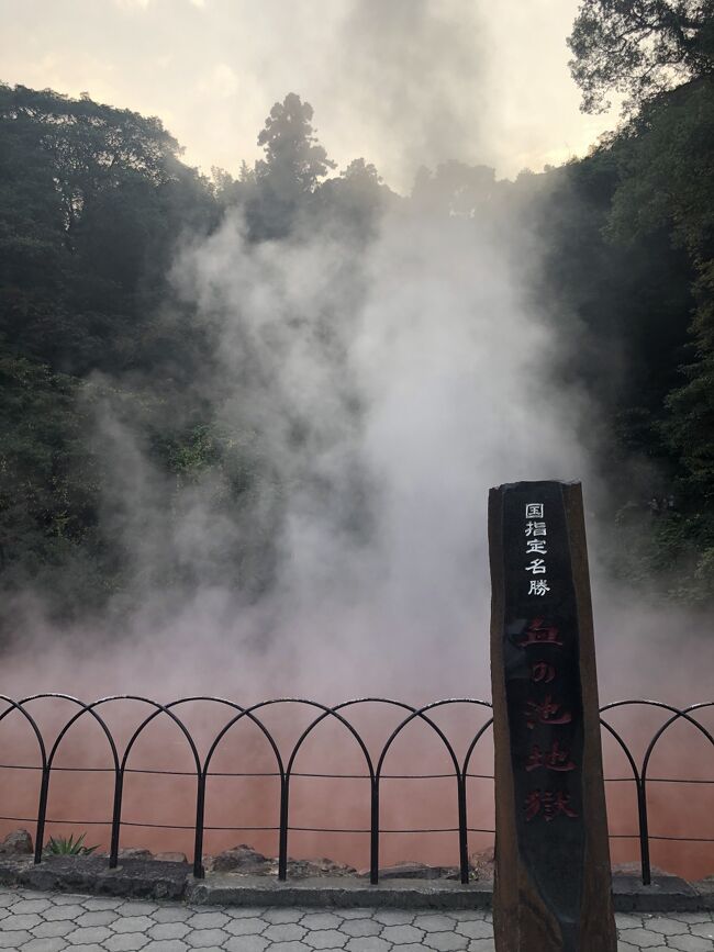 Gotoトラベル第4弾は、<br />レンタカーで豊後高田市、日田市、別府温泉を巡る旅。<br />JAL + 宿 + レンタカーのセットプラン!<br />宿は、鉄輪温泉で立地の良さから「おにやまホテル」を選択。<br /><br />思った以上に見どころたっぷりで、湯けむり別府は気に入りました。<br />1泊2日じゃ全然物足りない!落ち着いたら、リピするぞぉ♪<br /><br />**行程*<br />2020/11/17(水):JAL661 羽田空港→大分空港( 8:00発- 9:40着)<br />2020/11/18(水):JAL674 大分空港→羽田空港(19:25発-20:50着)<br /><br />スカイレンタカー九州(乗り捨て無料/通常)<br />【貸出】11/17(火) 大分空港店<br />【返却】11/18(水) 大分空港店<br /><br />別府鉄輪温泉おにやまホテル スタンダード<br />【部屋タイプ】2名1室×1室<br />【食事条件】夕朝食付