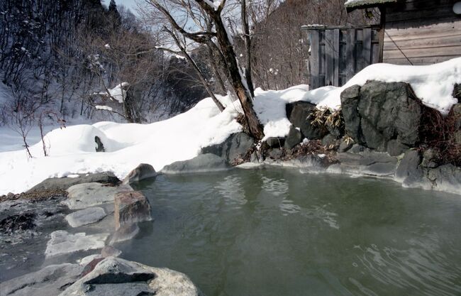 【思い出の旅】冬の信州、美酒と温泉三昧の旅