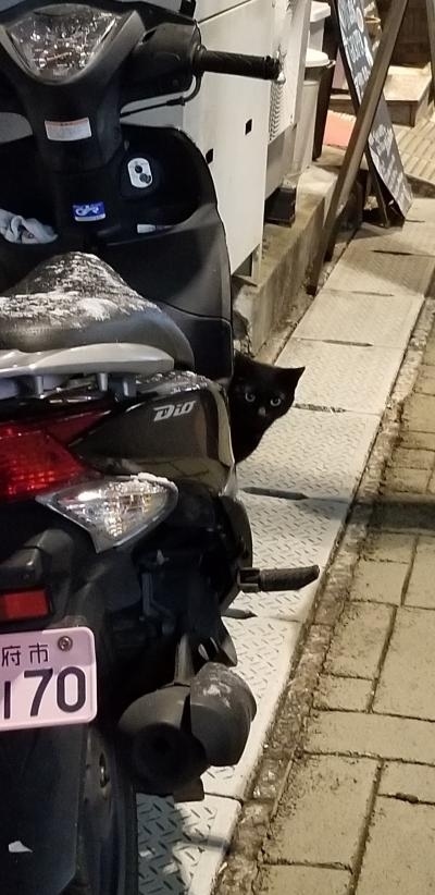 今回の別府旅行は楽天トラベルさんからの<br />ANA楽パックで去年の11月ごろに予約していました<br />緊急事態宣言を受けて行くのかキャンセルするのか<br />又、旅行記にしても良いのかかなり迷いました<br />でも久しぶりの別府に特化した旅行<br />おまけに私の誕生日が入る日程<br />感染には充分注意、対策をして行く事にしました<br />色々なご意見もあると思いますが<br />個人的にはとても楽しい旅になりましたので<br />旅行記にさせて頂くことにしました<br /><br />別府を中心に回るのは1年半ぶり<br />まぁ明礬温泉には蒸し卵を買いに<br />ちょこちょこ行ってるのですがね^^<br /><br />やっぱり別府は温泉天国<br />今回「シティ情報おおいた」という冊子と出会えて<br />冊子についていた<br />日帰り温泉100円クーポン<br />貸し切り温泉半額クーポンを手に入れて<br />新しい温泉の楽しみ方に出会えました!(^^)!<br /><br />それと相方が空港で見つけてくれた<br />「ONSEN・ガストロノミーツーリズム」さんが作られた<br />「ONSEN騎士団」に登録して<br />ANAさんとコラボしている<br />「おんせん県おおいたキャンペーン」なるものにも参加して<br />あの憧れの<br />「インターコンチネンタル別府リゾート&スパ」様にも<br />日帰り入浴させて頂きました(*^^*)<br /><br />温泉か飲み食いしてるかのあまり参考にはならない旅行記ですが<br />見て頂ければうれしいです(^^)/