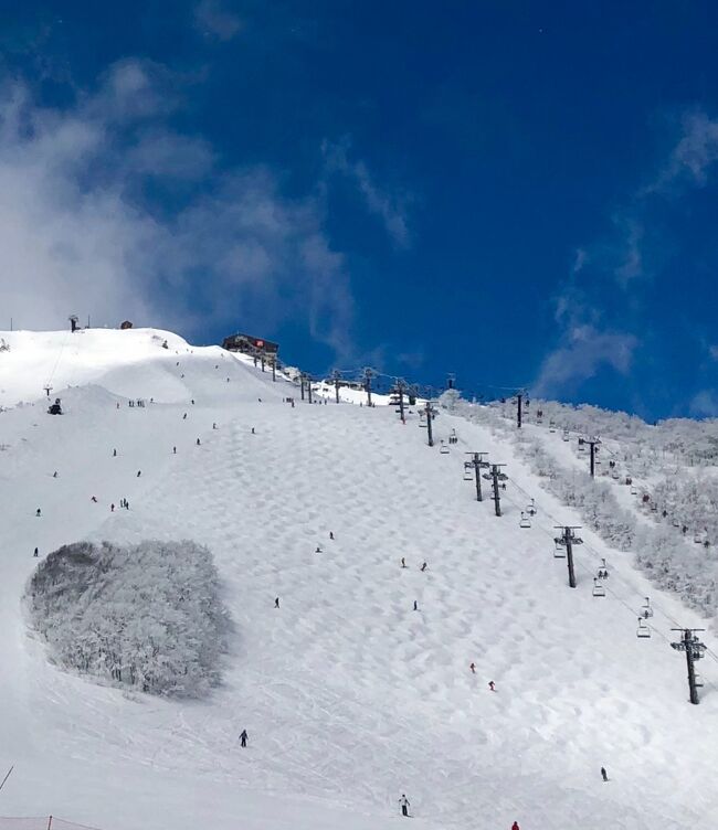 2020年3月15日<br />紺碧の青空に白い霧氷！！風に舞うパウダースノー♪<br />八方尾根スキー場は最高のコンデイション(-_^)☆<br /><br />アルピーヌは温泉と美味しいお料理が楽しめる宿。<br />スキー天国の八方尾根で温泉とグルメを楽しみました。<br /><br />今シーズンはコロナ禍でスキーオタクの主人も仕方なく自粛。<br />コロナが落ち着いたら…行きたいと心待ちにしています。<br /><br />表紙写真は<br />うさぎ平１０９前からの兎平ゲレンデ。<br />青空と白い霧氷が綺麗な白馬八方尾根スキー場でした。